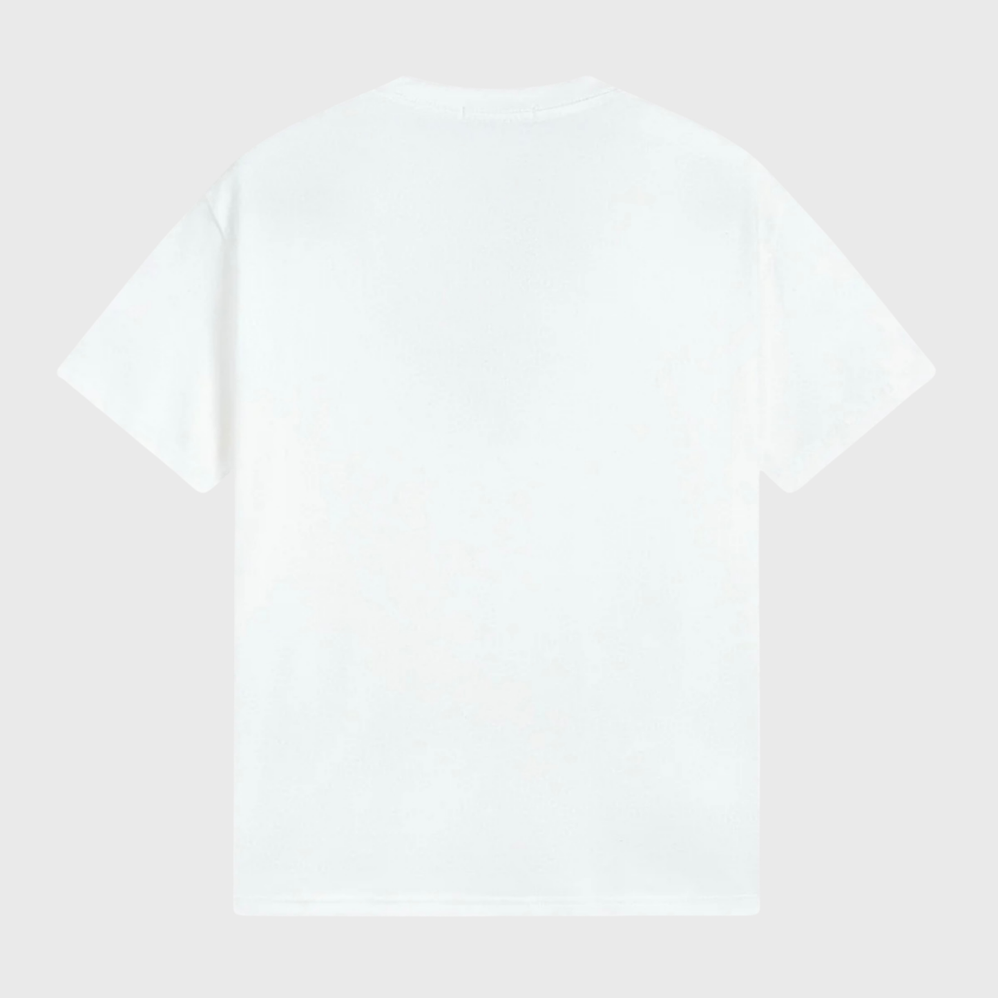 Stone T-shirt